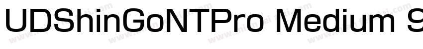 UDShinGoNTPro Medium 9字体转换